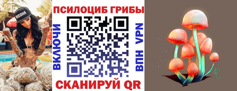 darknet клад  Сенгилей  Галлюциногенные грибы Psilocybe 
